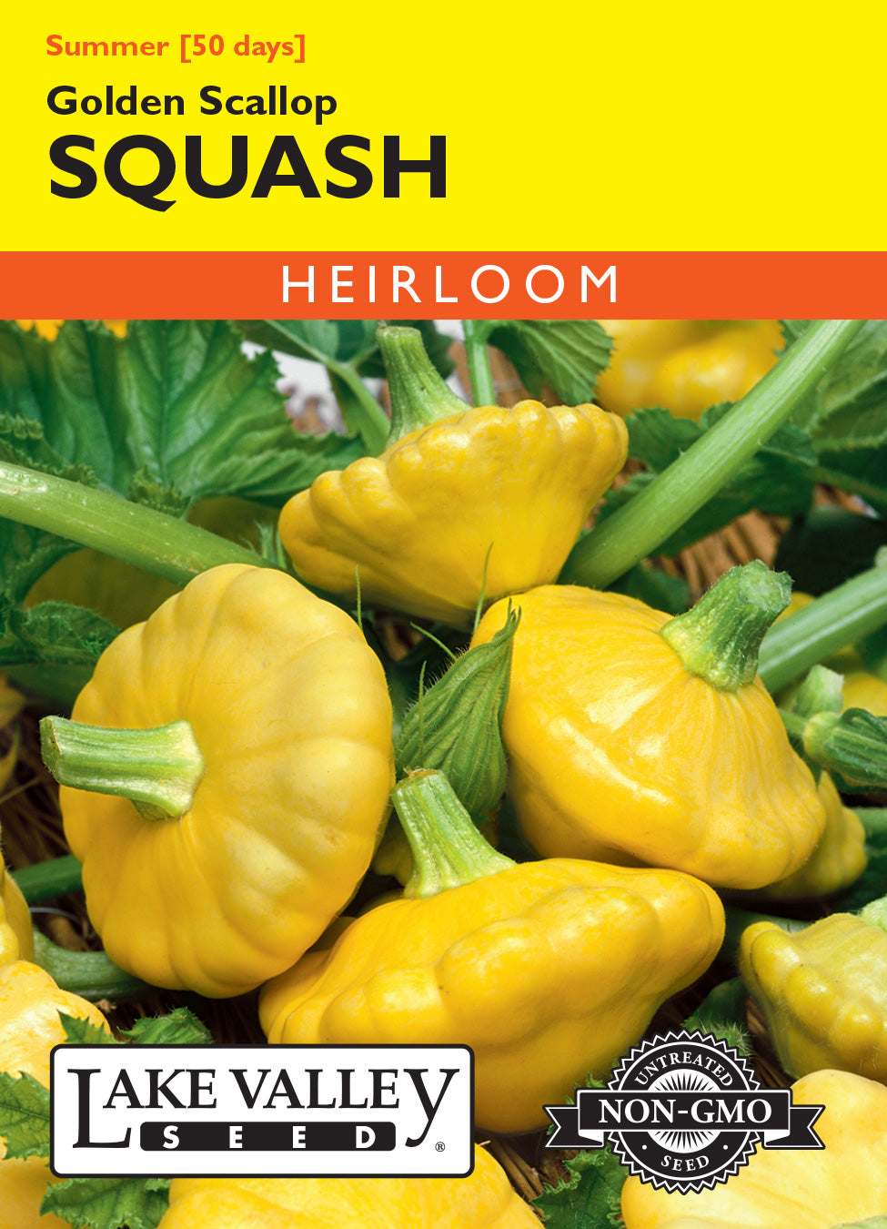 Squash (Summer) Golden Scallop Yellow - Item #1939