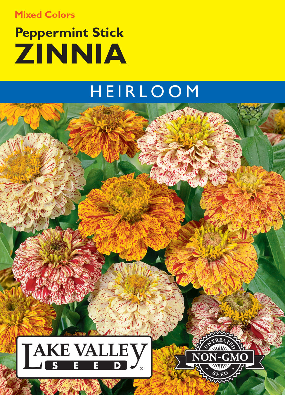 Zinnia Peppermint Stick Mixed Colors - Item #1978