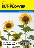 Sunflower American Giant Yellow Hybrid - Item #1982