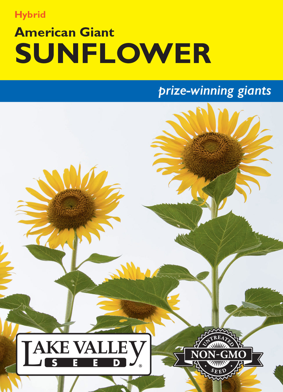 Sunflower American Giant Yellow Hybrid - Item #1982