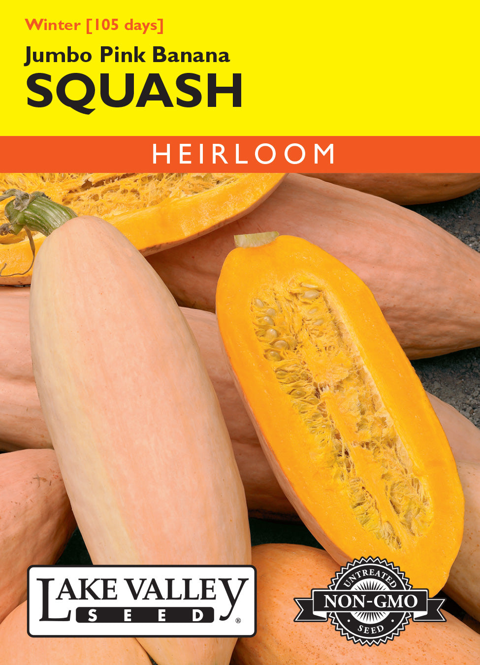 Squash (Winter) Jumbo Pink Banana - Item #1987