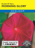 Morning Glory Scarlet O'Hara - Item #199