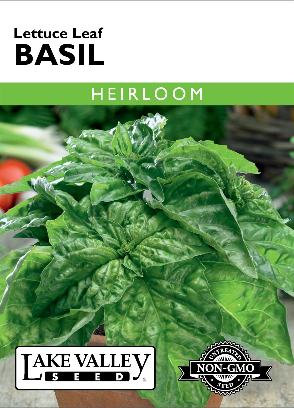 Basil Lettuce Leaf - Item #20