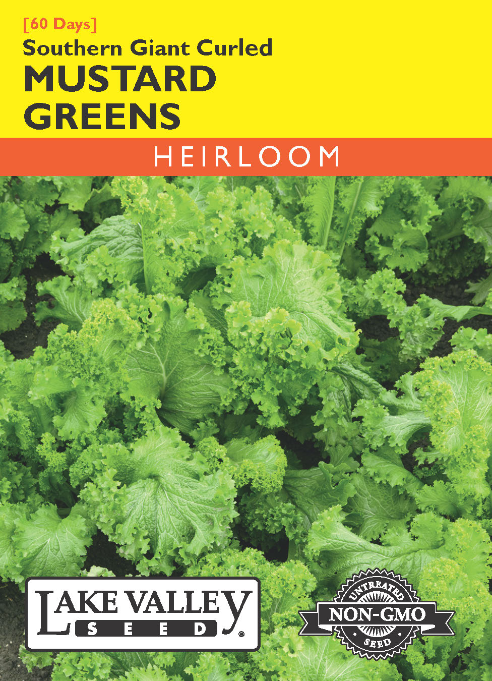 Mustard Greens Southern Giant Curled - Item #201