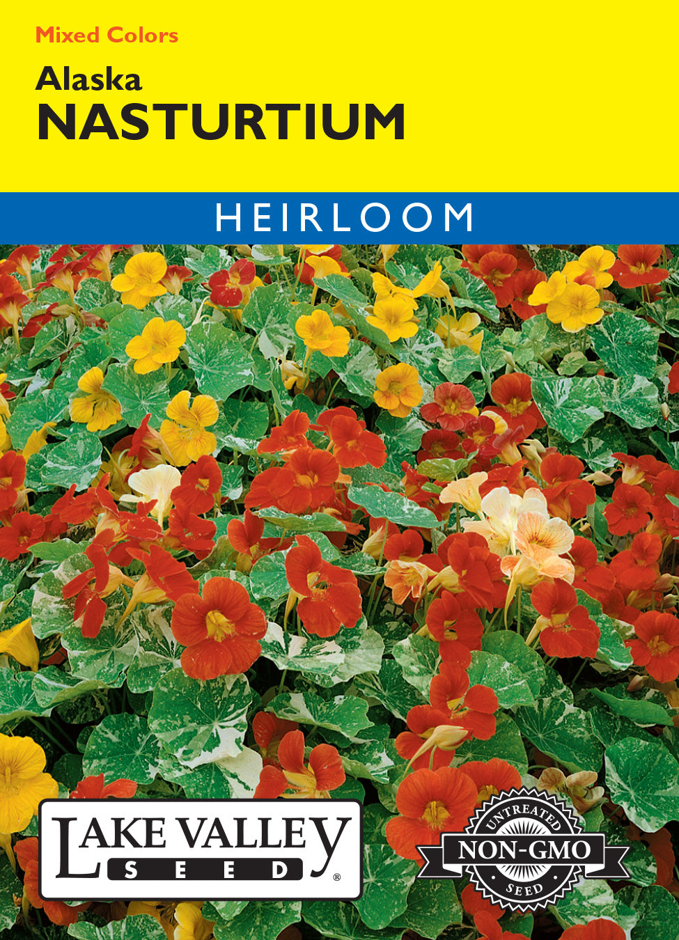 Nasturtium Alaska Mixed Colors - Item #203