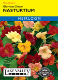 Nasturtium Glorious Gleam Mixed Colors - Item #206