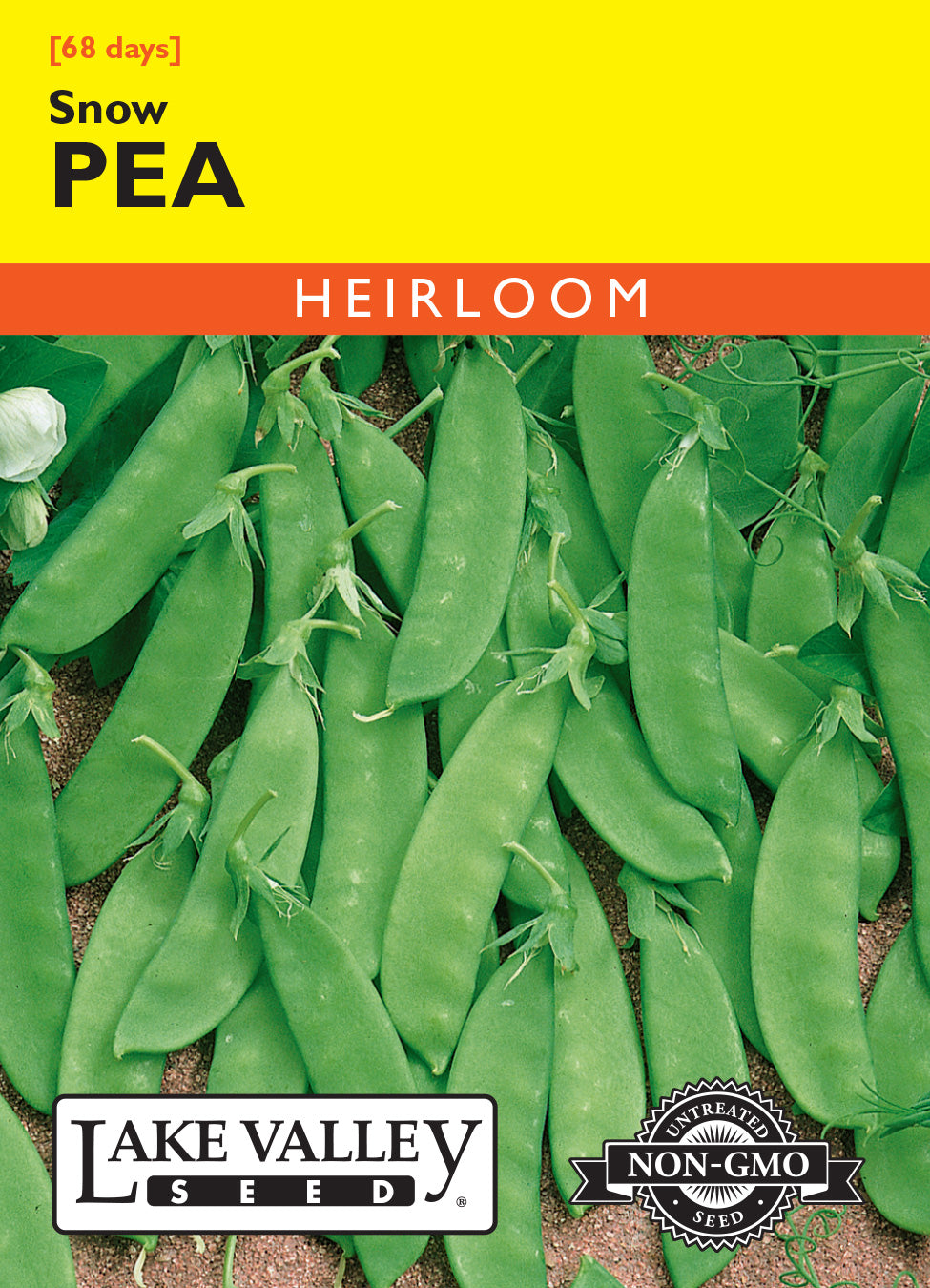 Pea Snow (Bush) - Item #221