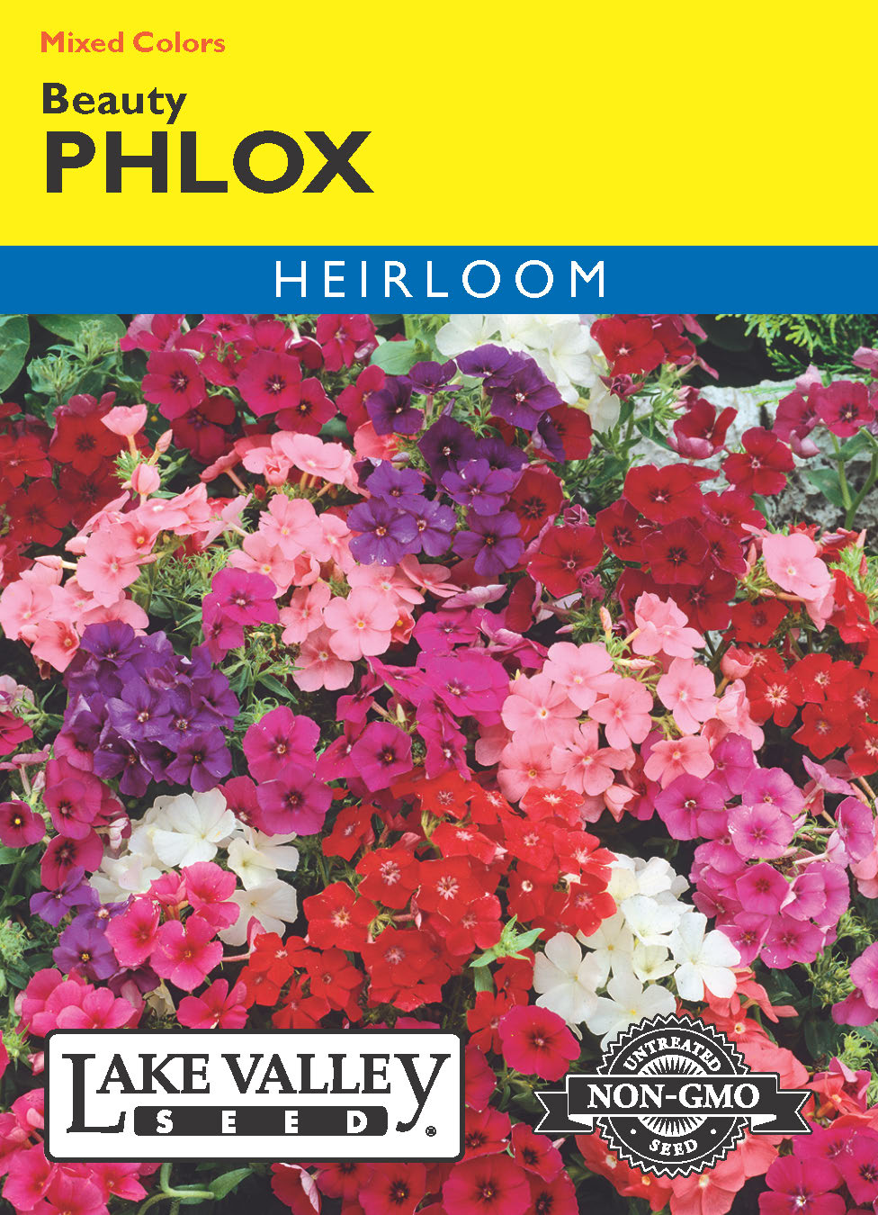 Phlox Beauty Mixed Colors - Item #241