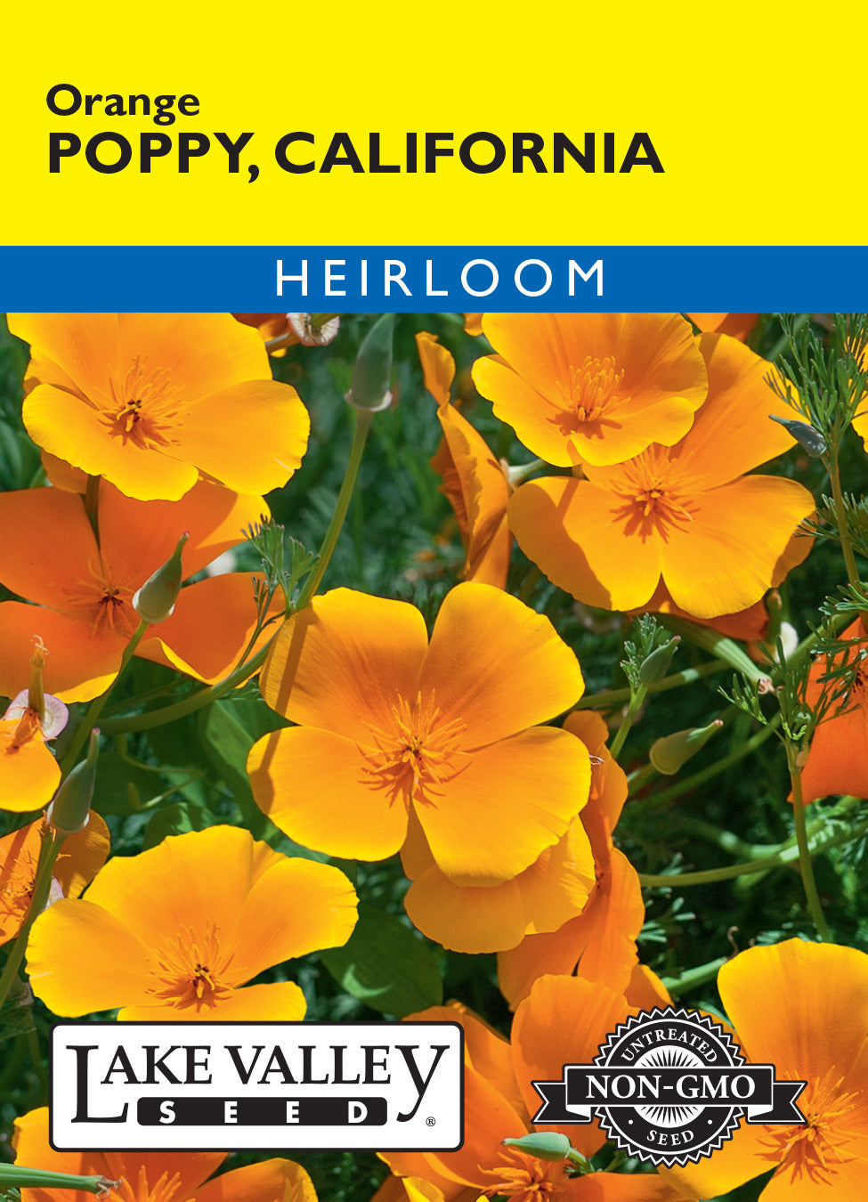 Poppy California Orange - Item #244