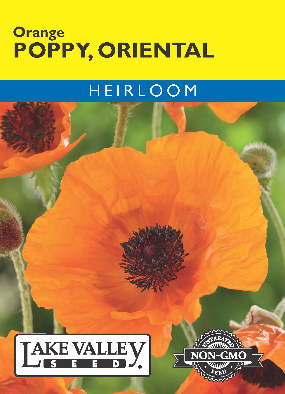 Poppy Oriental Orange - Item #249