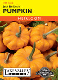 Pumpkin Jack Be Little (Miniature) - Item #252