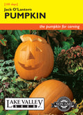 Pumpkin Jack O'Lantern - Item #253