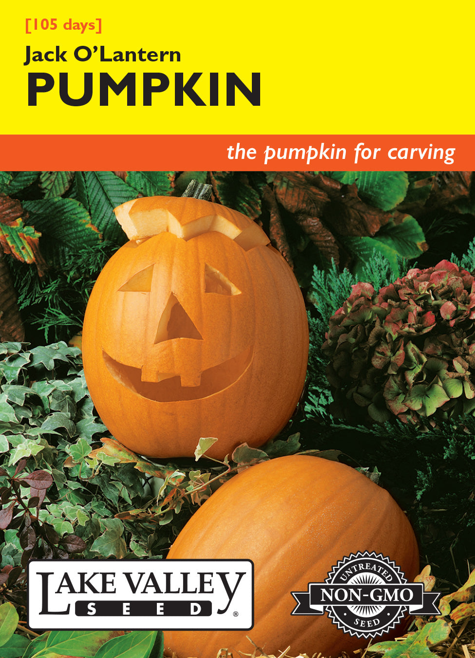 Pumpkin Jack O'Lantern - Item #253