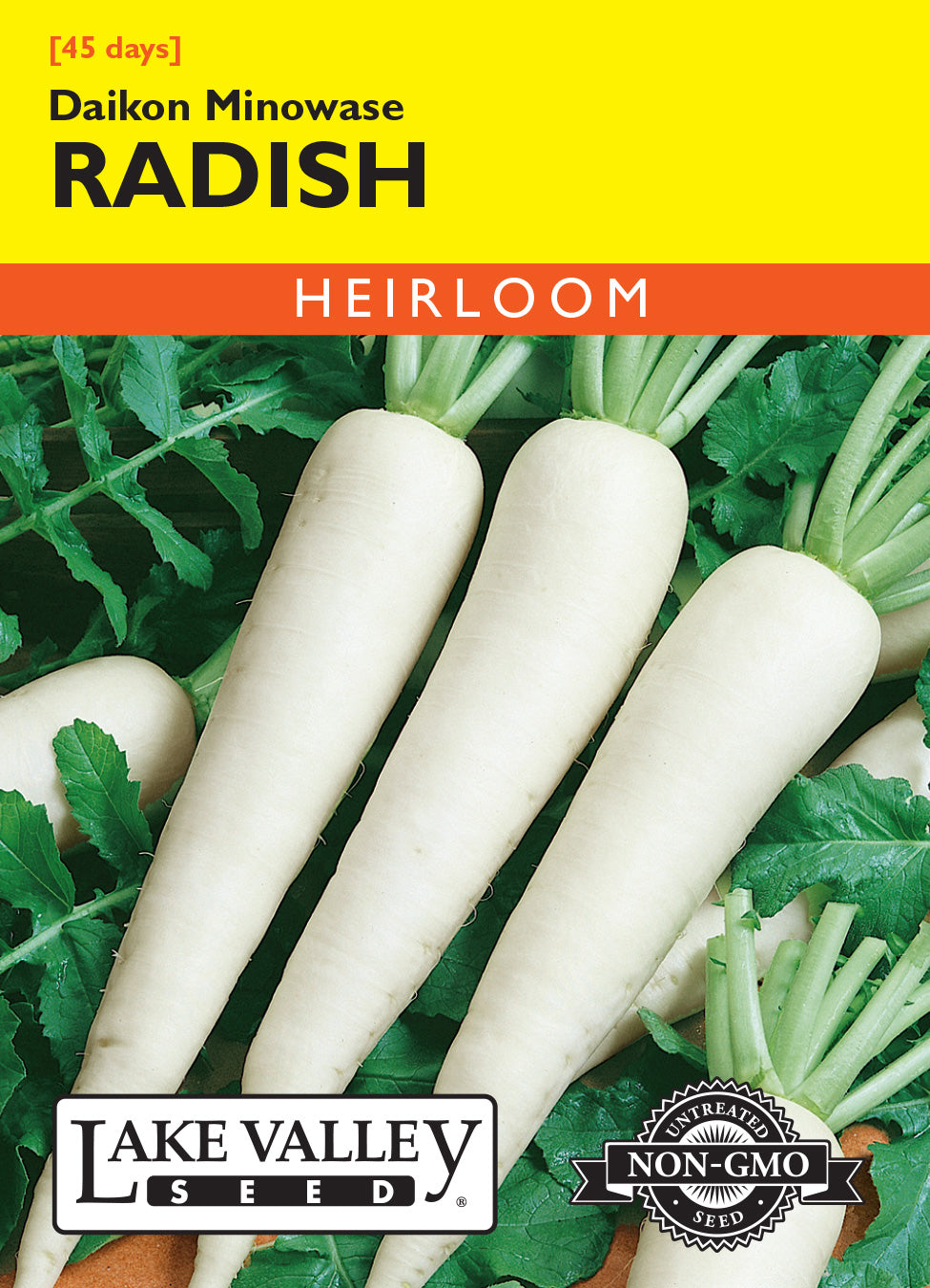 Radish Daikon Minowase - Item #258