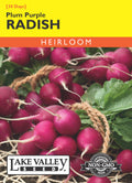 Radish Plum Purple - Item #259