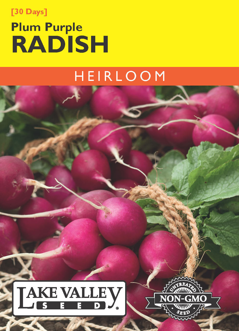Radish Plum Purple - Item #259