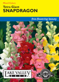 Snapdragon Tetra Giants Mixed Colors - Item #274