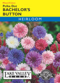 Bachelor's Button Polka Dot Mixed Colors - Item #28