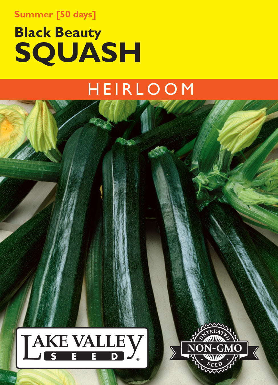 Squash (Summer) Black Beauty - Item #280