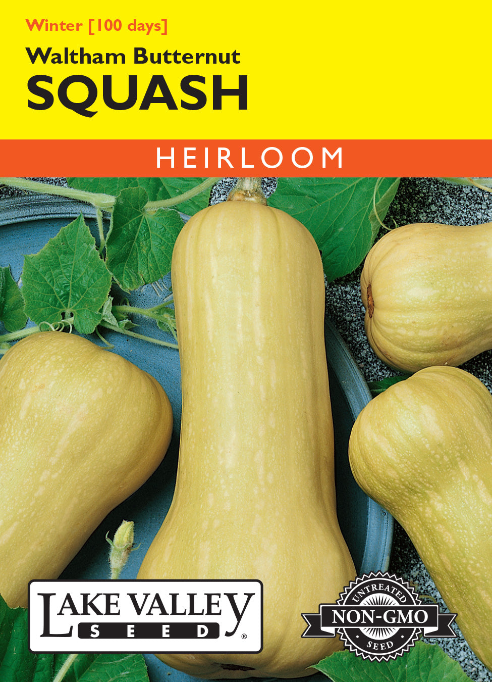 Squash (Winter) Waltham Butternut - Item #281