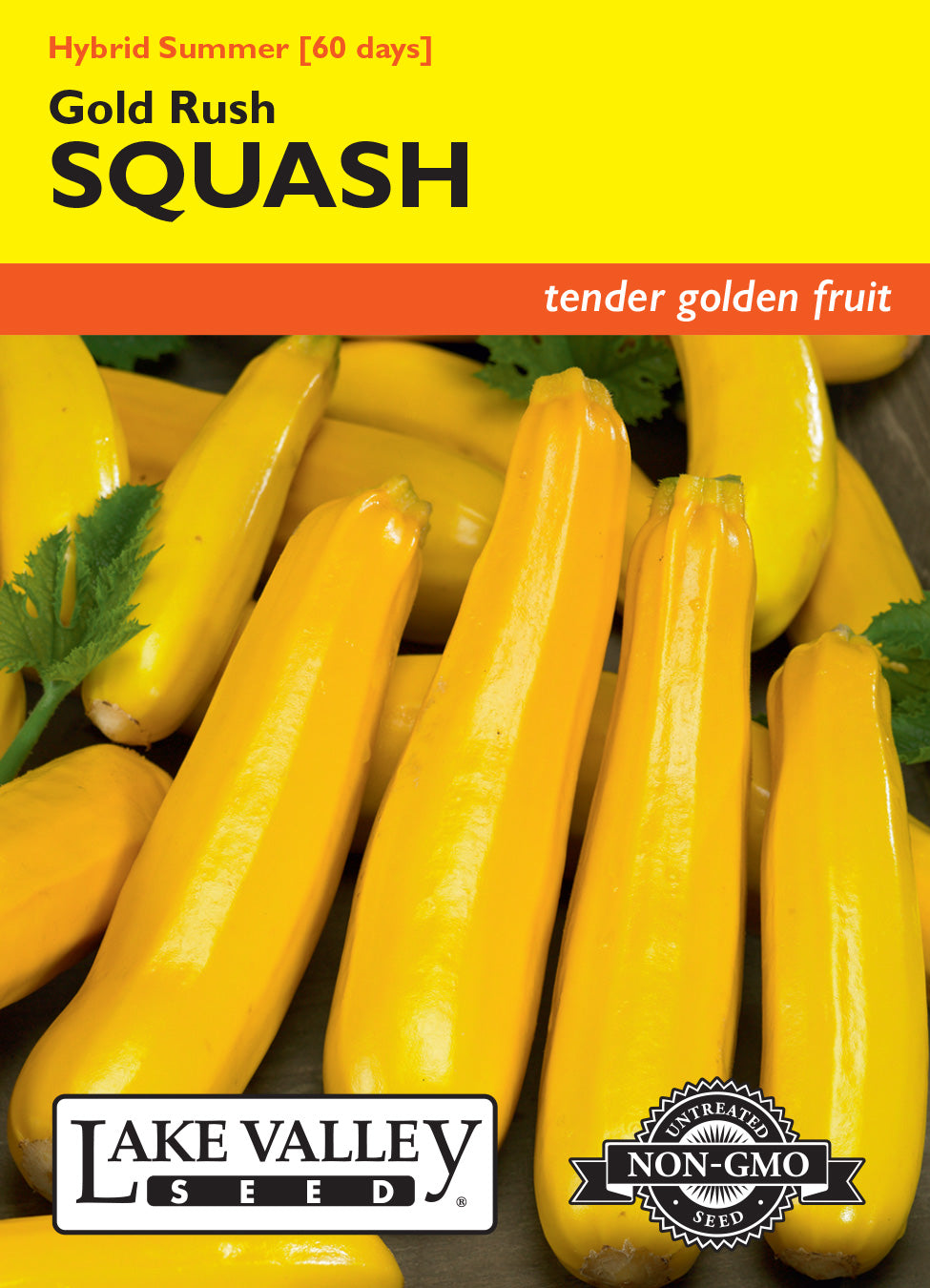 Squash (Summer) Gold Rush Hybrid - Item #283