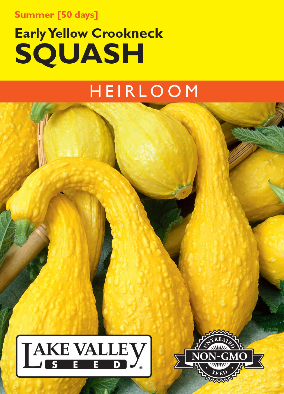 Squash (Summer) Early Yellow Crookneck - Item #287