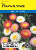Strawflower Tall Mixed Colors - Item #289