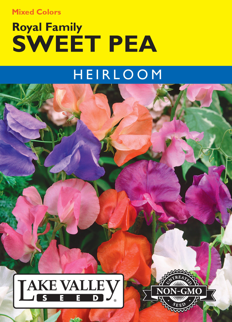 Sweet Pea Royal Family Mixed Colors - Item #293