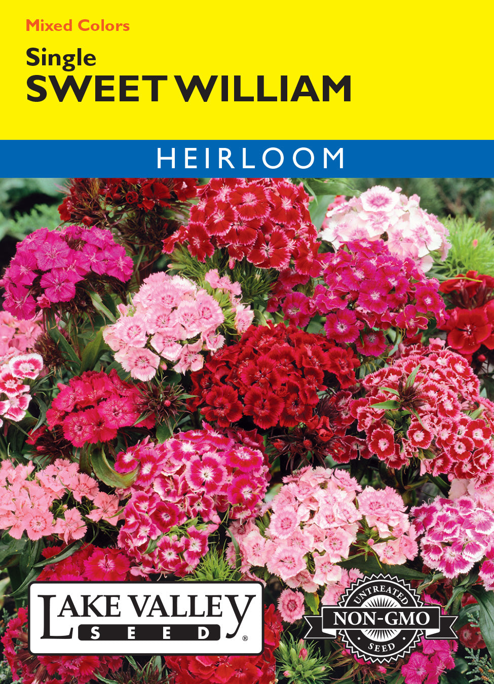 Sweet William Single Mixed Colors - Item #294