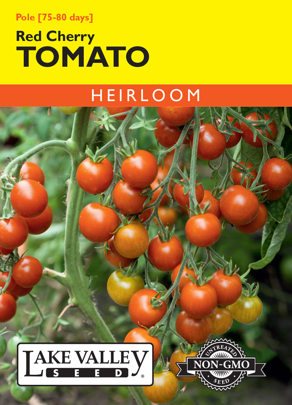 Tomato (Pole) Red Cherry - Item #304