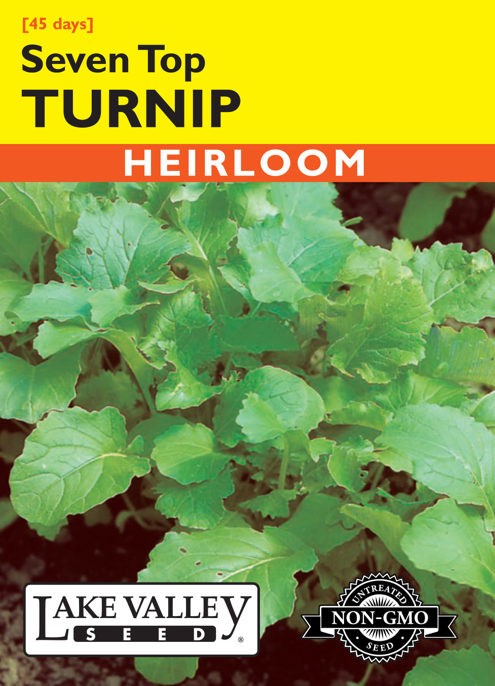 Turnip Seven Top (Turnip Greens) - Item #312
