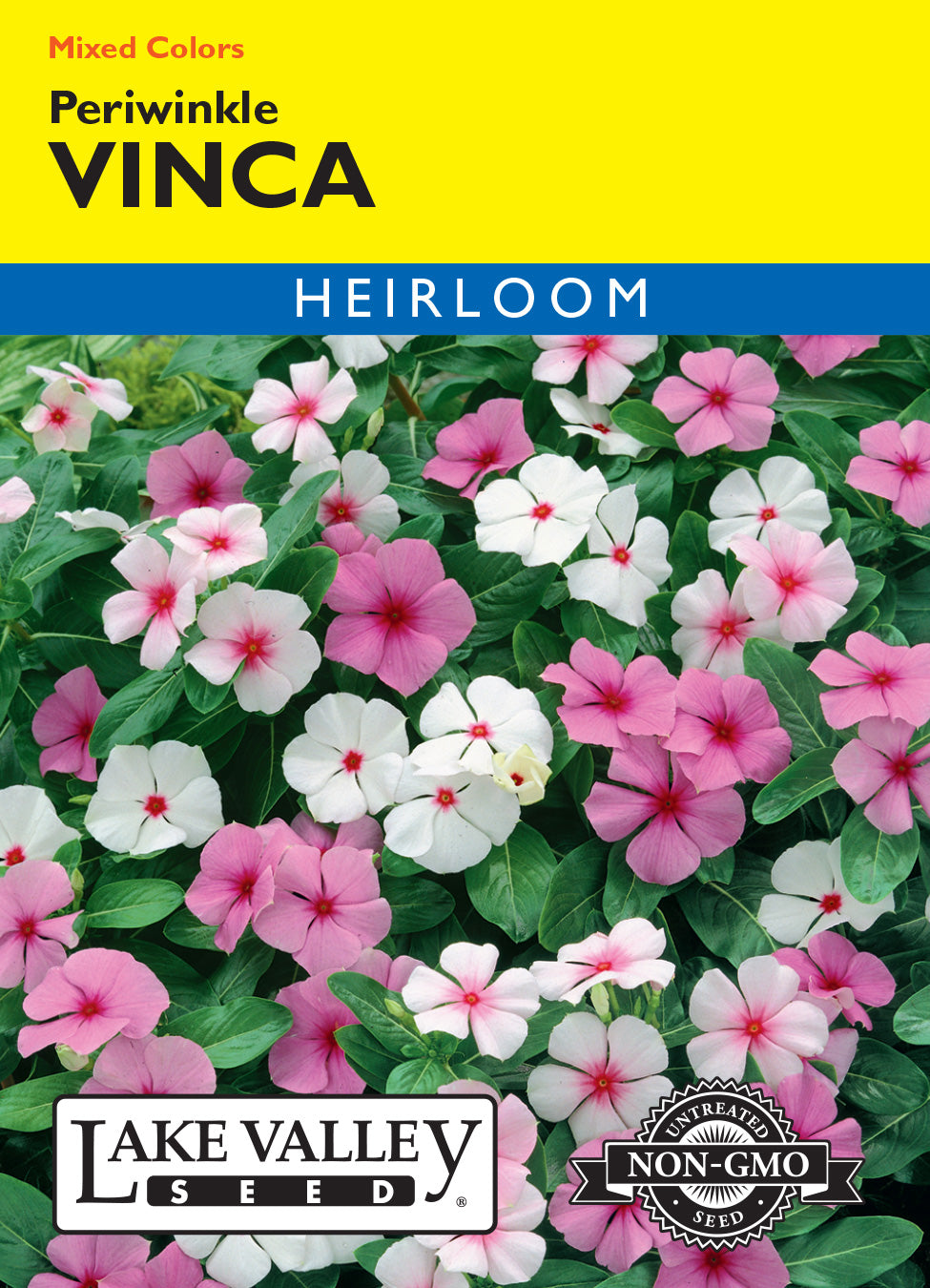 Vinca Rosea (Periwinkle) Mixed Colors - Item #315