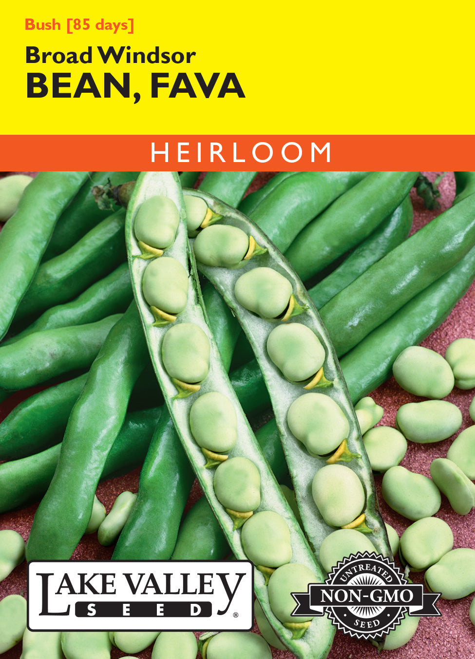 Bean Fava Broad Windsor - Item #32