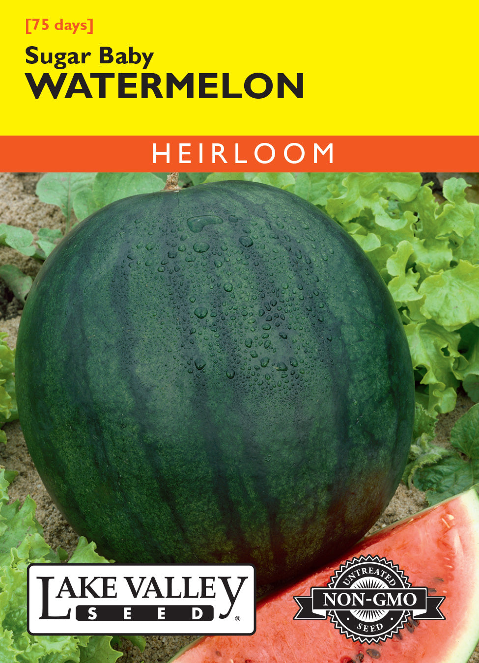 Watermelon Sugar Baby - Item #321