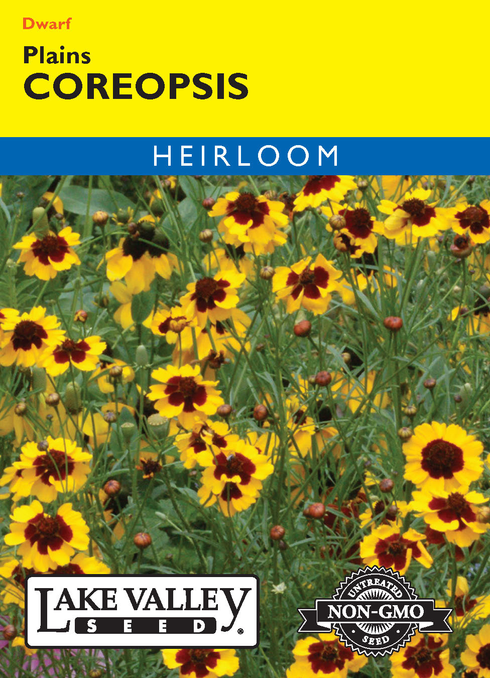 Coreopsis Plains - Item #32335