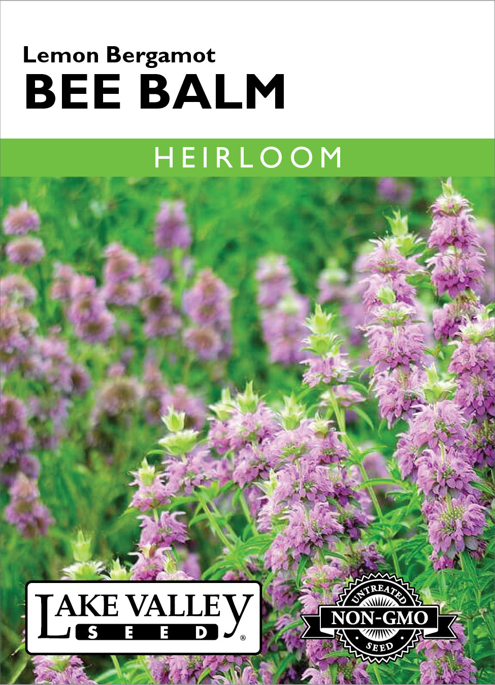 Bee Balm Lemon Bergamot- Item #32341
