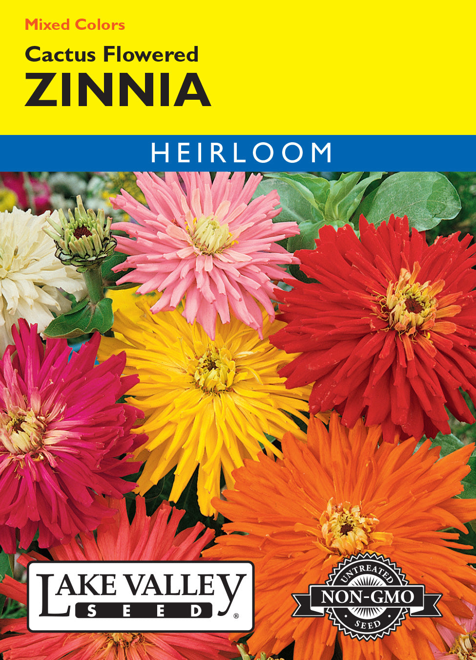 Zinnia Cactus Flowered Mixed Colors - Item #325