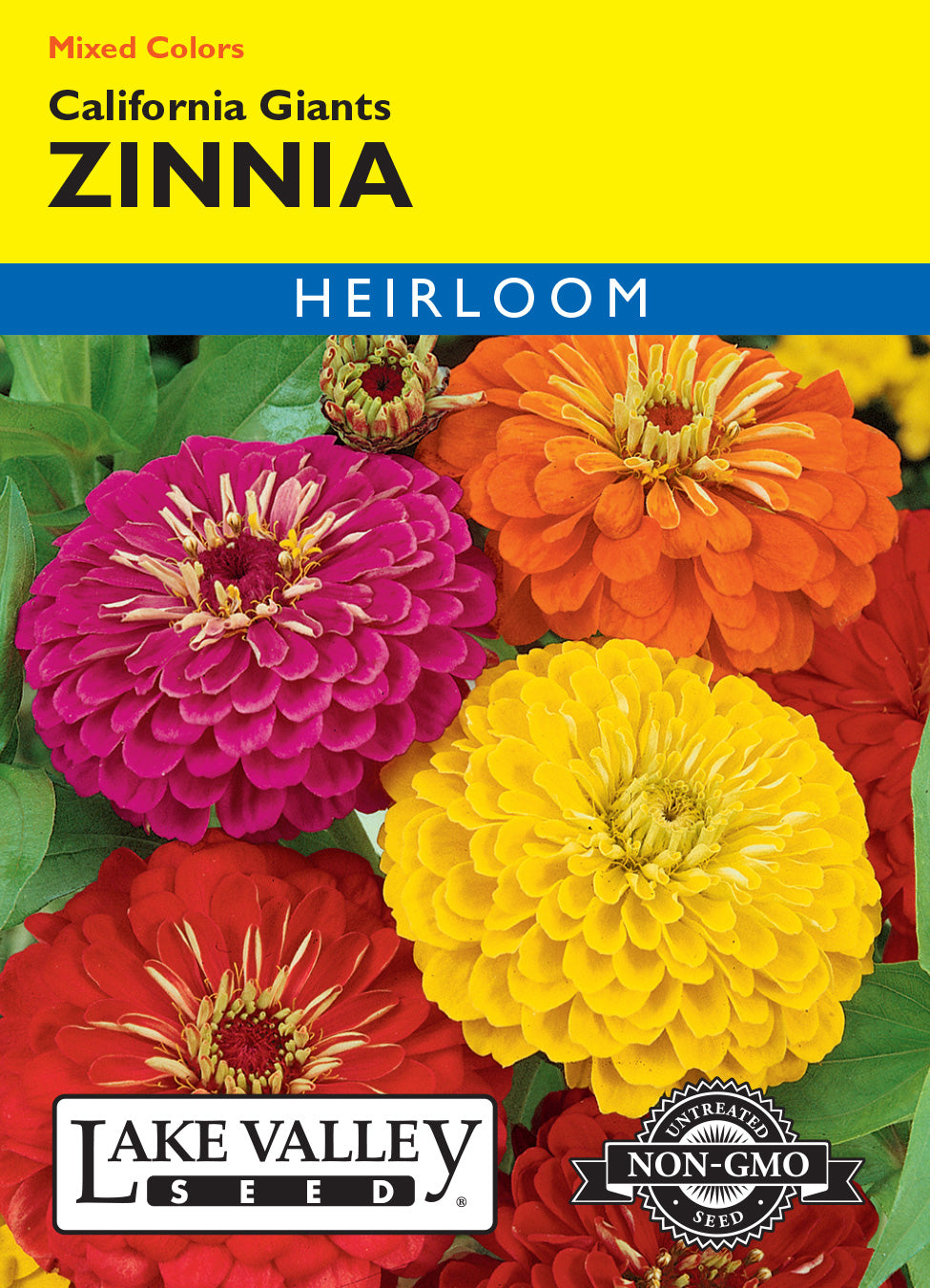 Zinnia California Giants Mixed Colors - Item #326