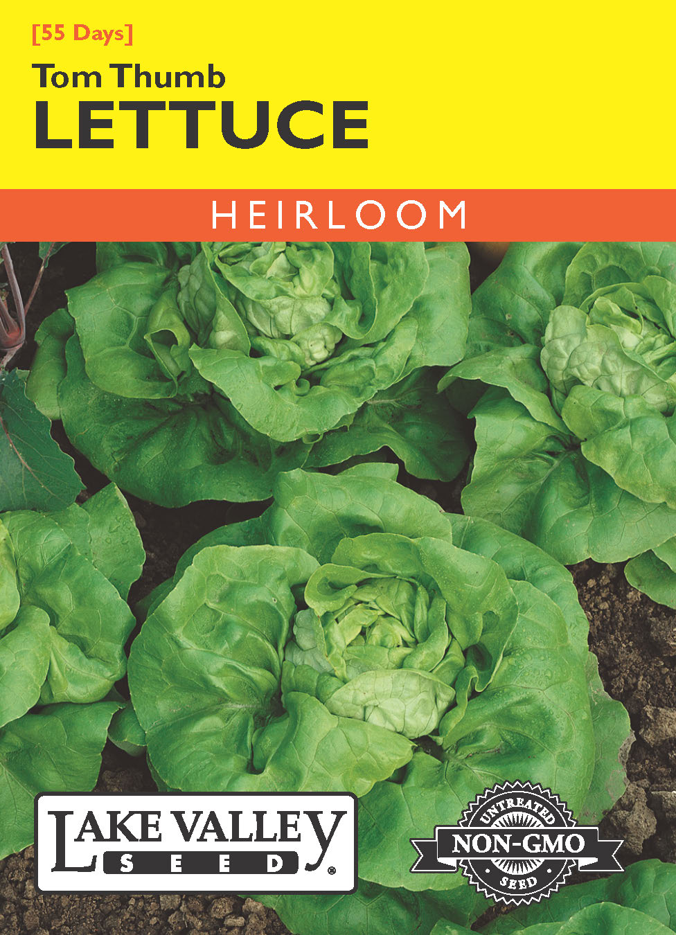 Lettuce Tom Thumb - Item #345