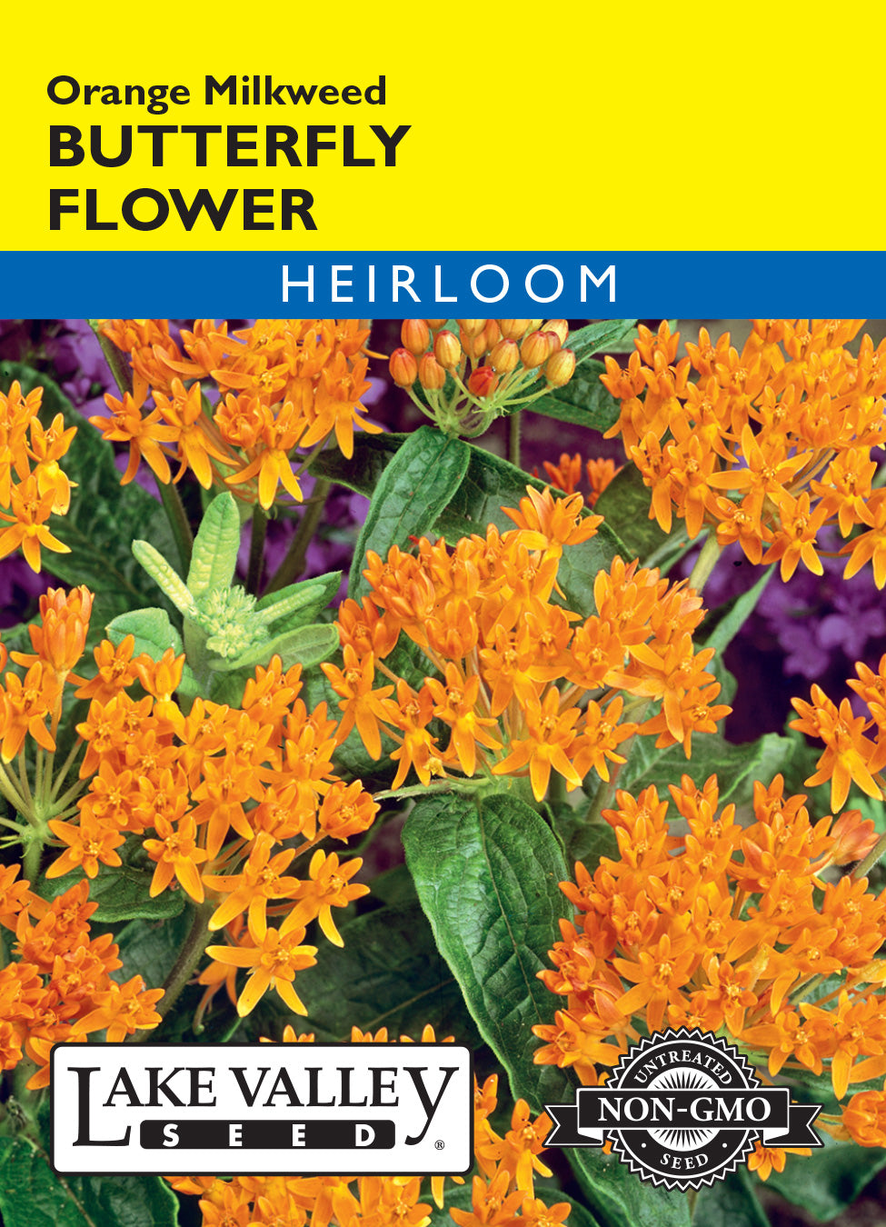 Butterfly Flower Orange Milkweed - Item #3459