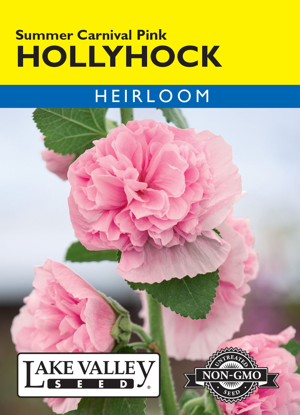 Hollyhock Summer Carnival Pink - Item #3466