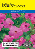Four O'Clocks Tea Time Rose - Item #3468