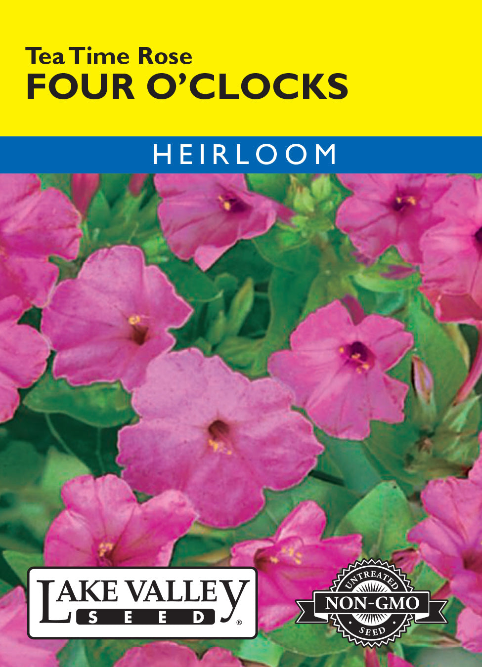 Four O'Clocks Tea Time Rose - Item #3468