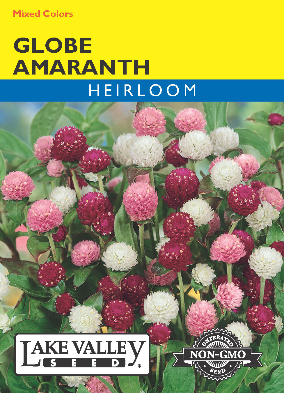 Globe Amaranth Mixed Colors - Item #3469