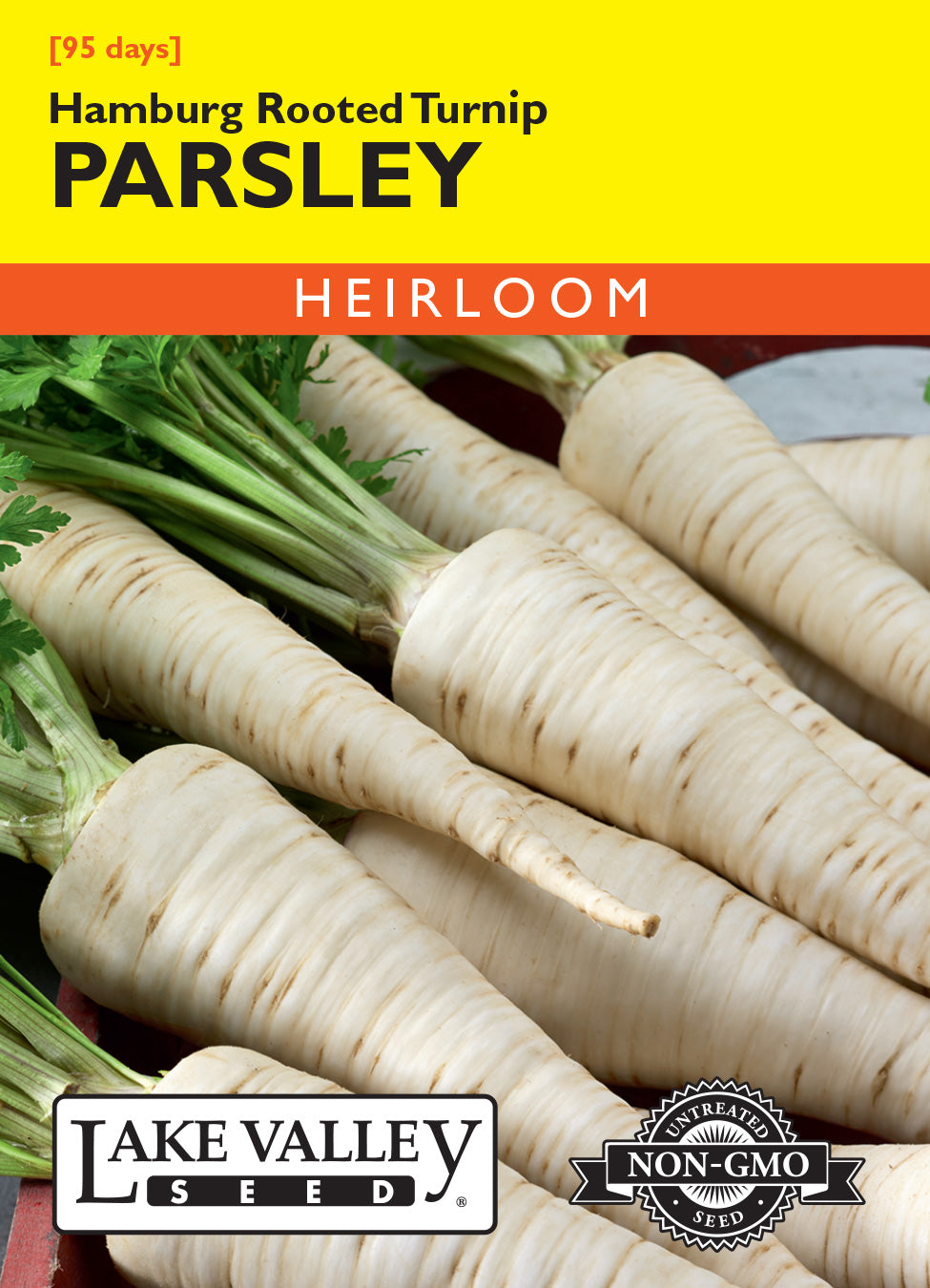 Parsley Hamburg Rooted Turnip - Item #347