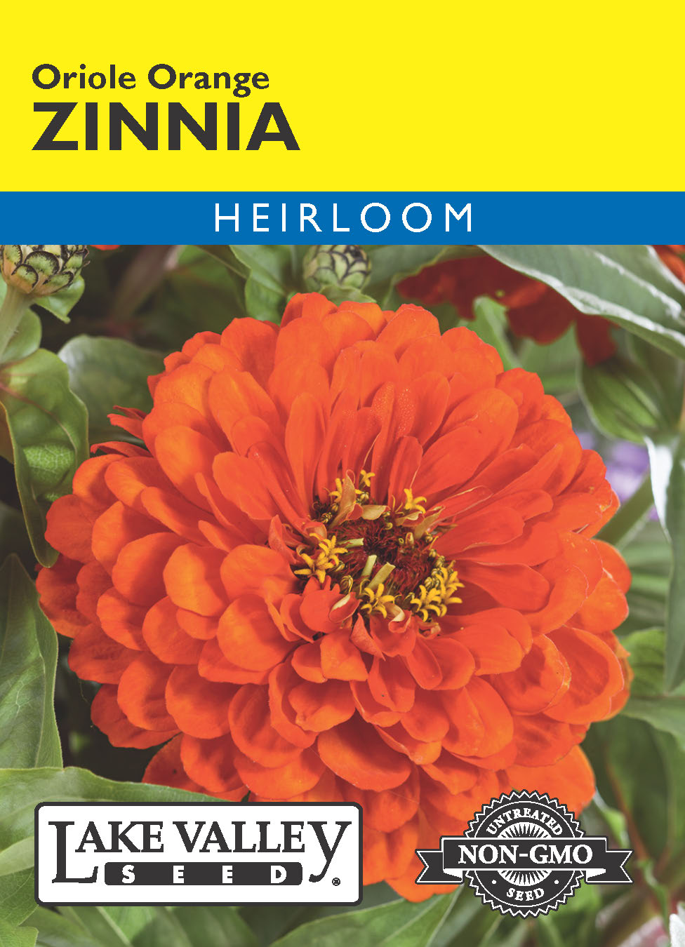 Zinnia Oriole Orange - Item #3476