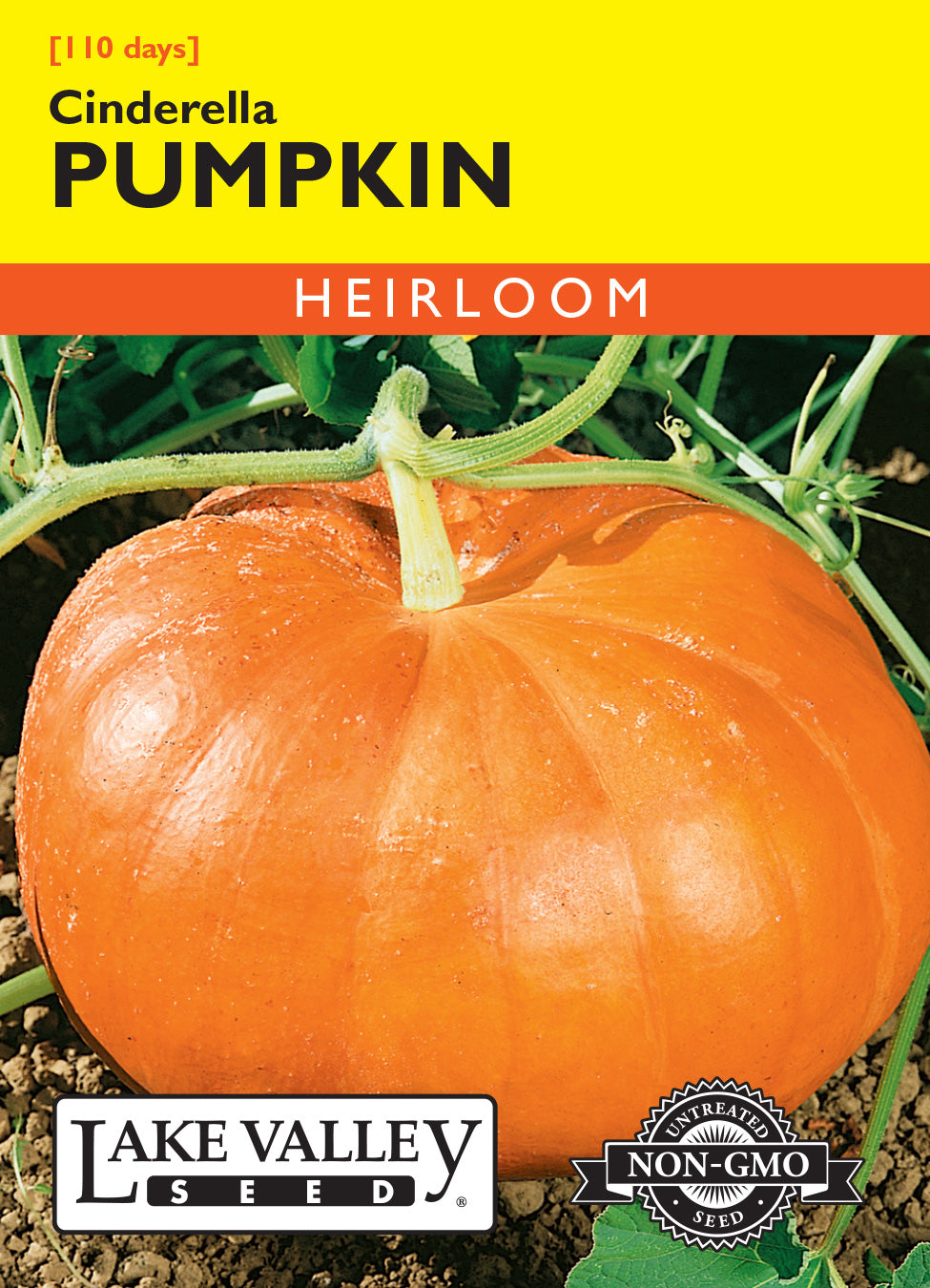 Pumpkin Cinderella - Item #350
