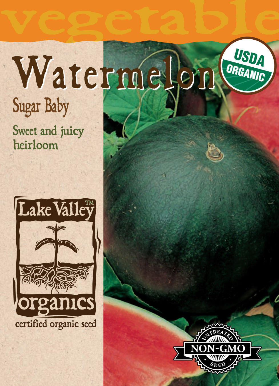 Watermelon Sugar Baby - Item #3508