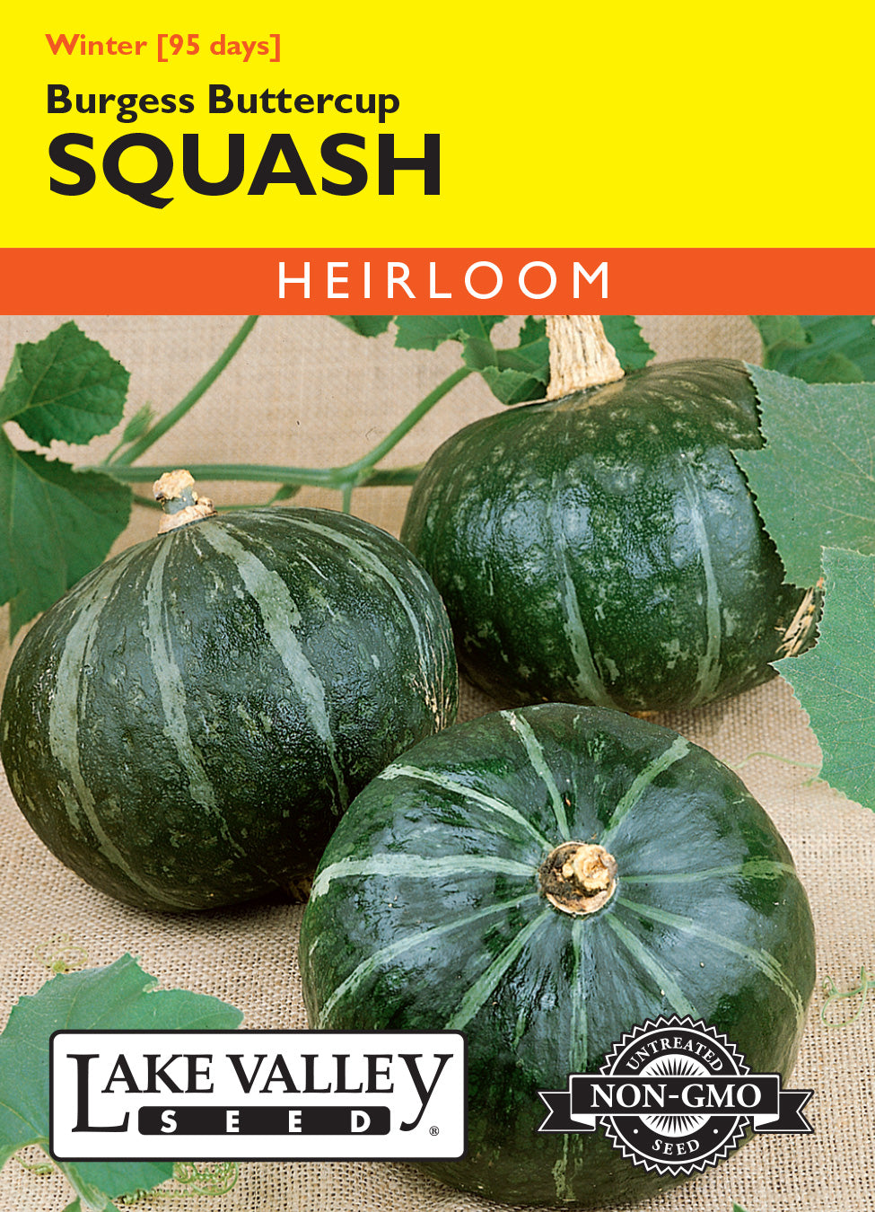 Squash (Winter) Burgess Buttercup - Item #354