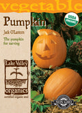 Pumpkin Jack O'Lantern - Item #3556